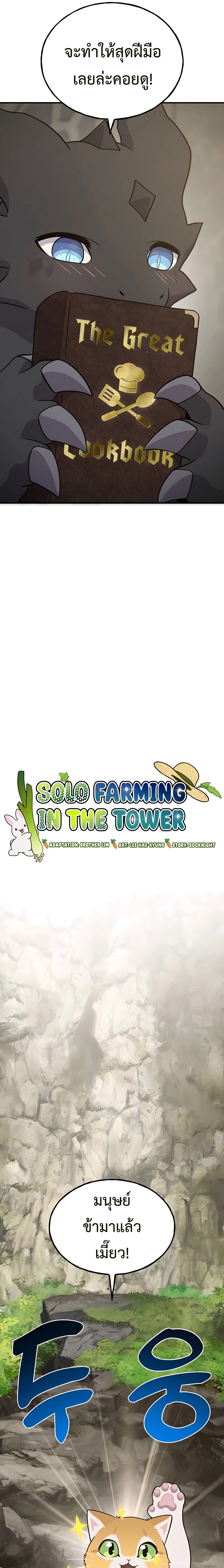 Solo Farming In The Tower 45 (13)